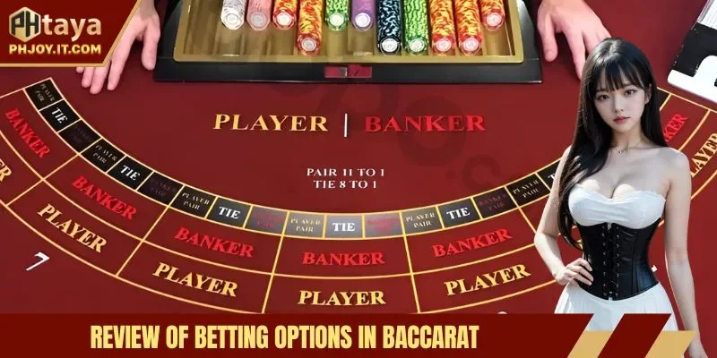 Review of betting options in Baccarat