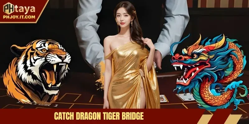 Catch dragon tiger bridge – Secrets to Increase Your Chances of Win