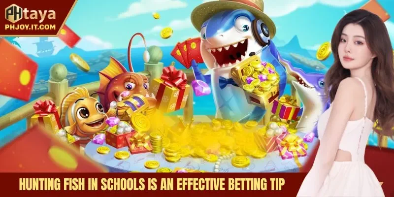 Hunting fish in schools is an effective betting tip