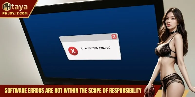 Software errors are not within the scope of responsibility.